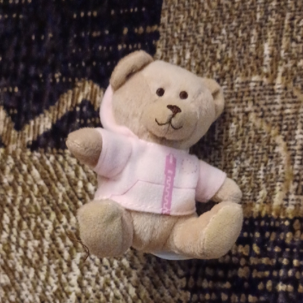 4/$30 Build-A-Bear "Curly Teddy" with Pink Hoodie - 2007